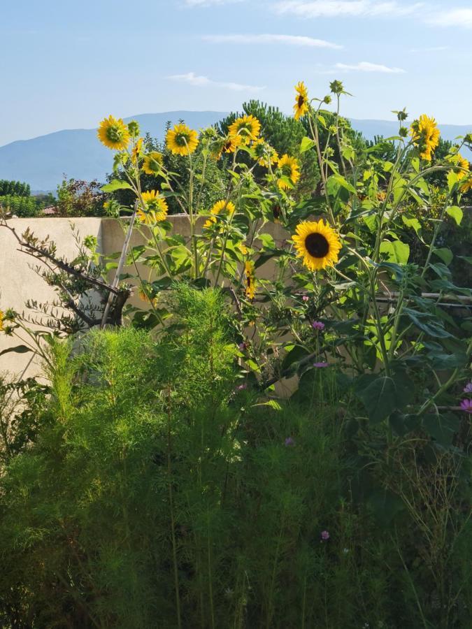 מאזון Petit Gite De Provence מראה חיצוני תמונה