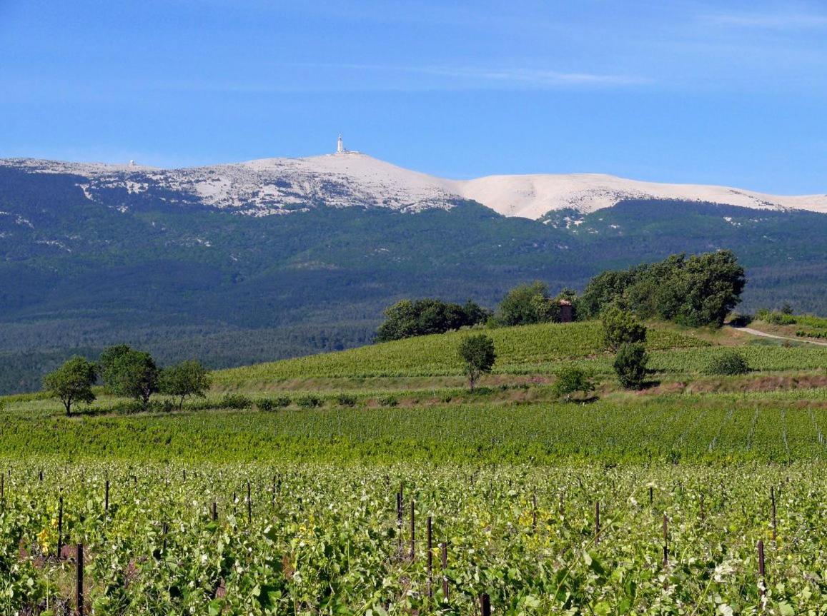מאזון Petit Gite De Provence מראה חיצוני תמונה