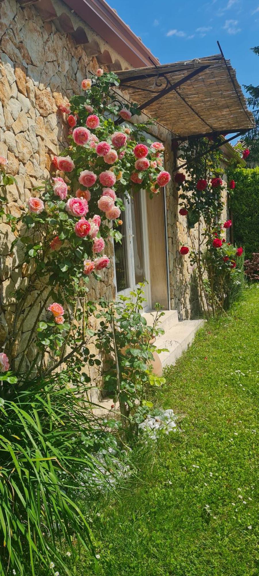 מאזון Petit Gite De Provence מראה חיצוני תמונה